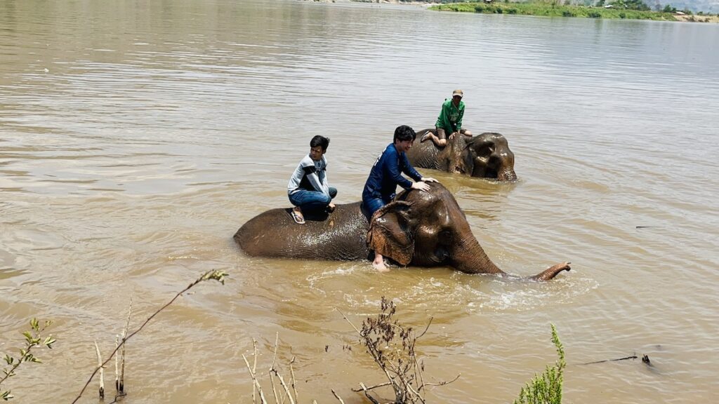 ラオス国マホート（象使い）